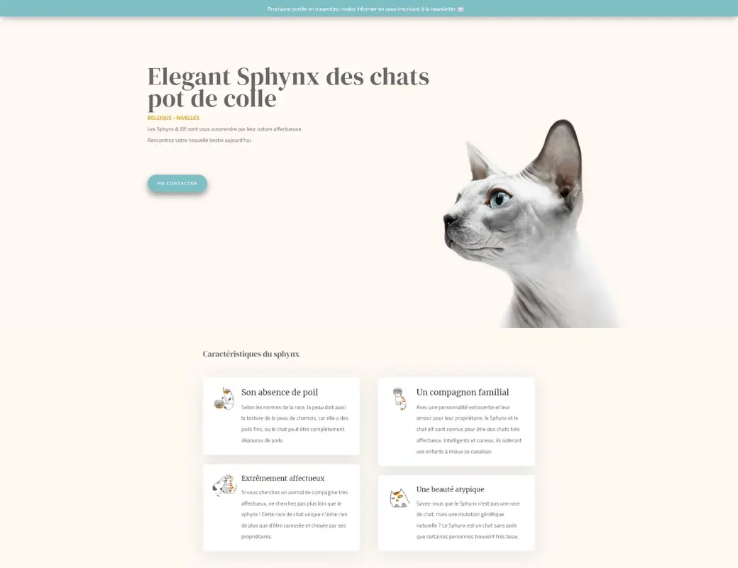 Elevage familiale de sphynx